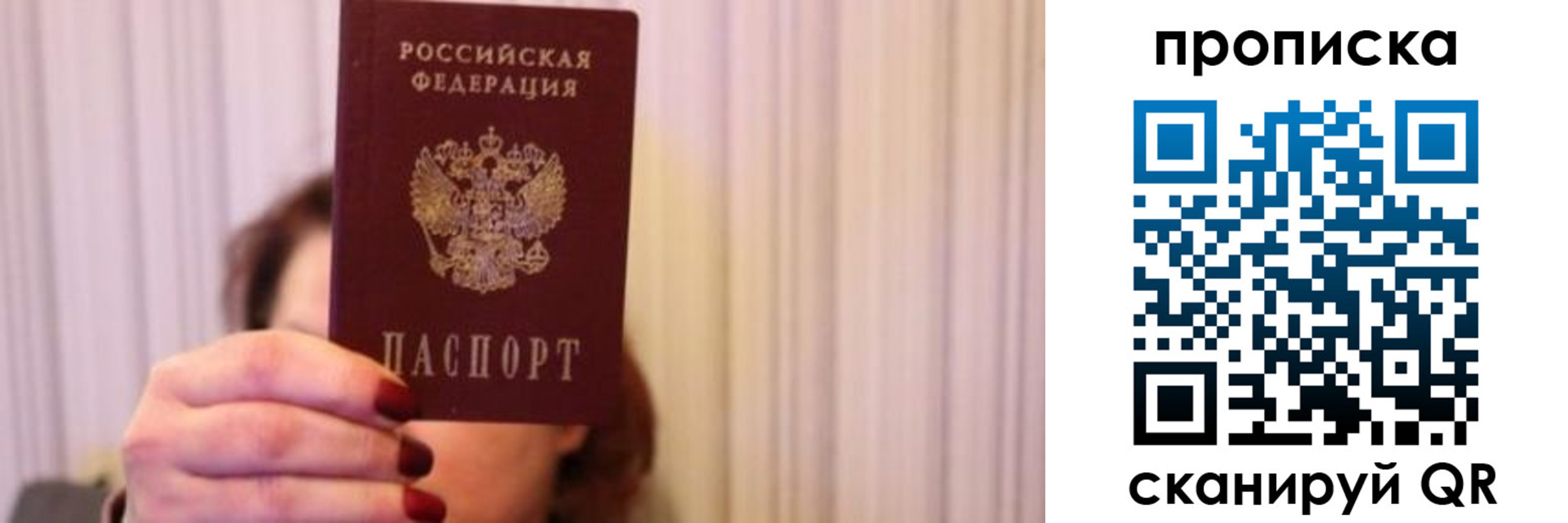 прописка поиск в Мытищах