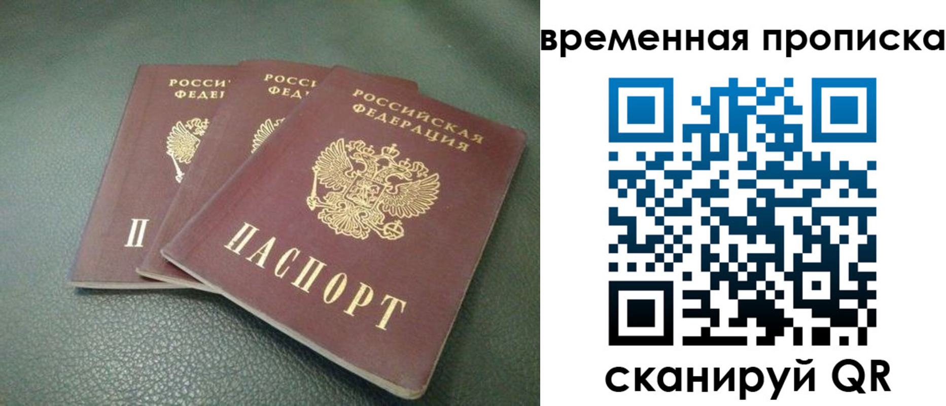 прописка гарантия в Мытищах